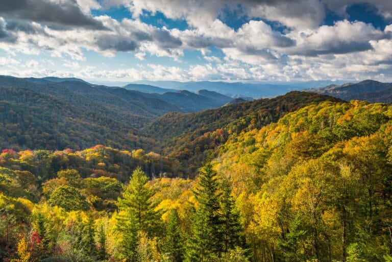 A wide scenic view of the Great Smoky Mountains during autumn, featuring rolling hills covered in vibrant yellow, orange, and green foliage under a blue sky with fluffy white clouds.