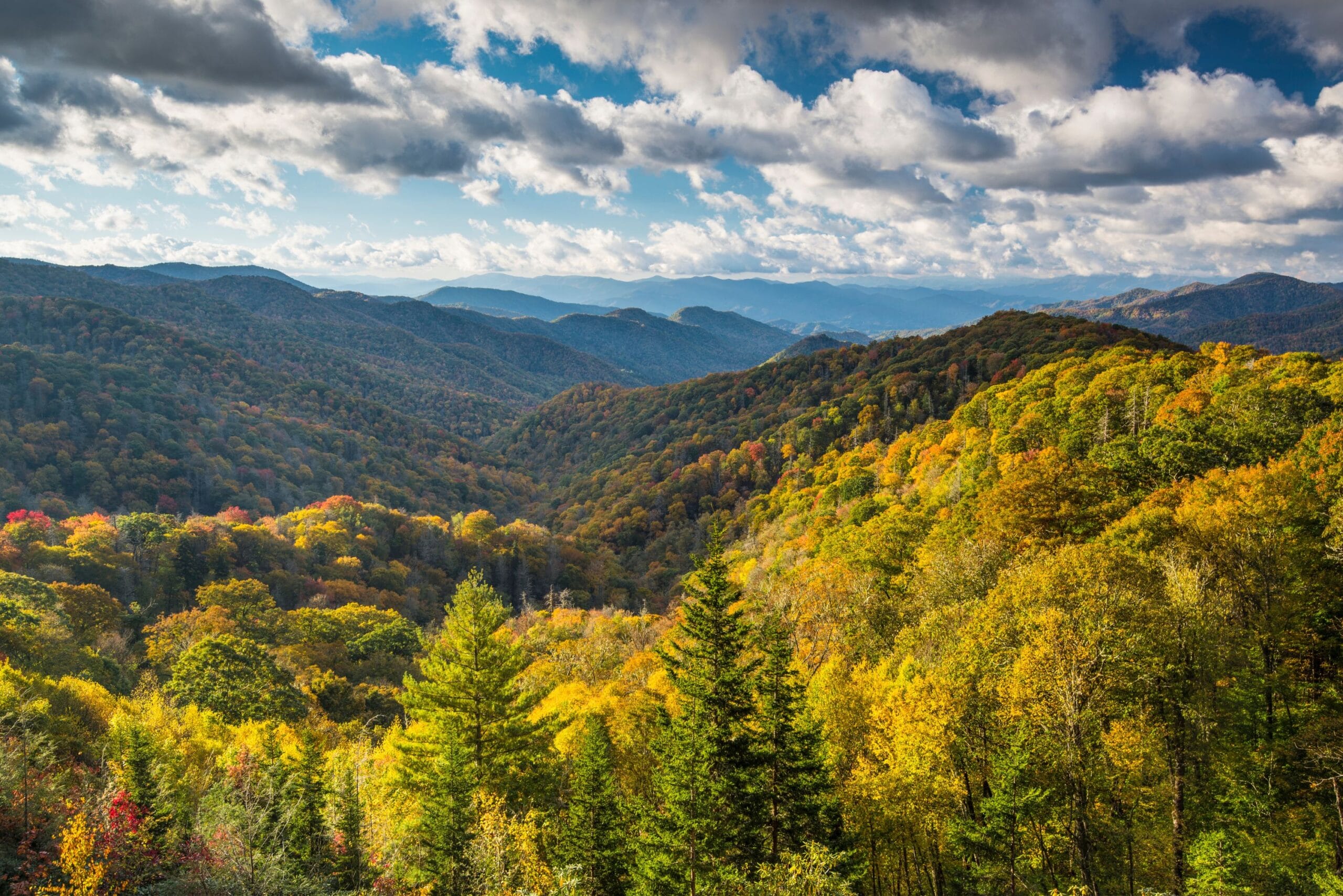 A wide scenic view of the Great Smoky Mountains during autumn, featuring rolling hills covered in vibrant yellow, orange, and green foliage under a blue sky with fluffy white clouds.
