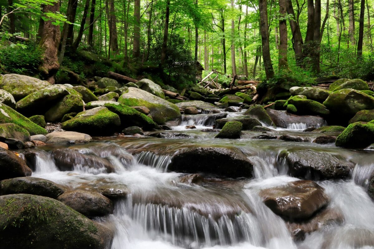 Water flowing over rocky riverbed in the lush forest of Great Smoky Mountains National Park