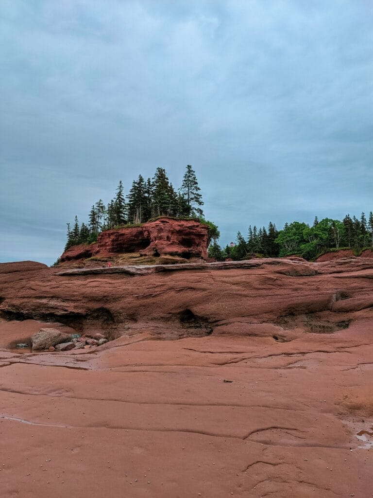 lj novascotia wc1tti7u70e unsplash