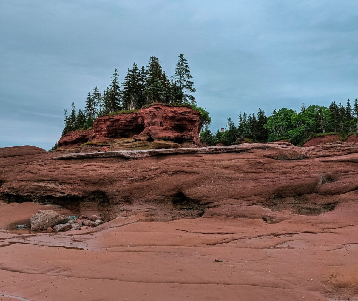 Best Places to visit in Canada with Kids 3 lj novascotia wc1tti7u70e unsplash
