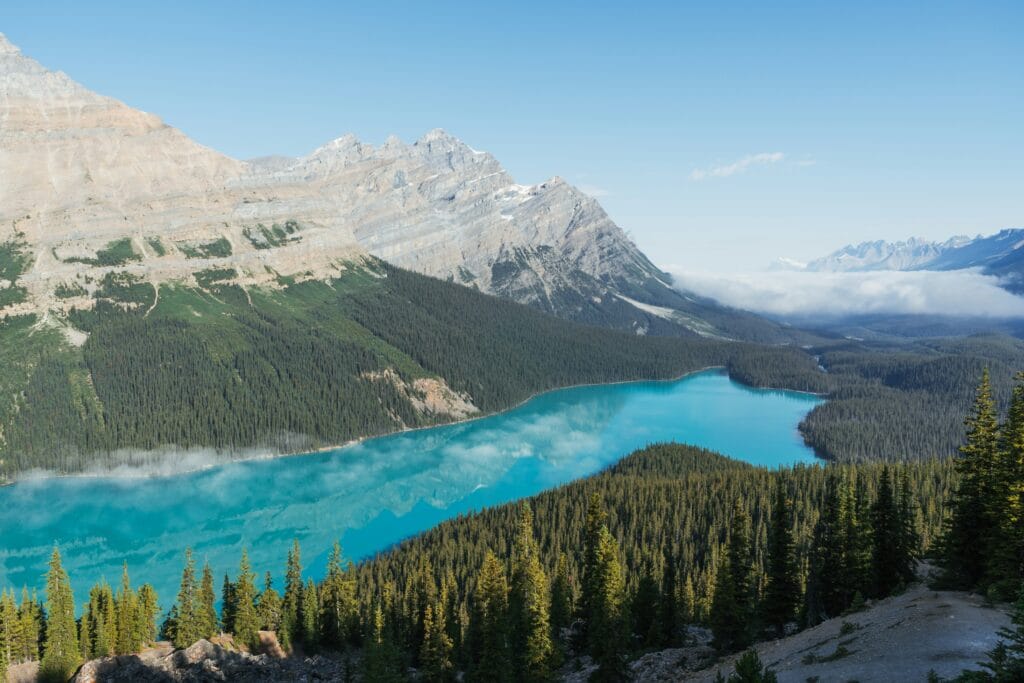 tevin trinh qbvbqwlojg unsplash