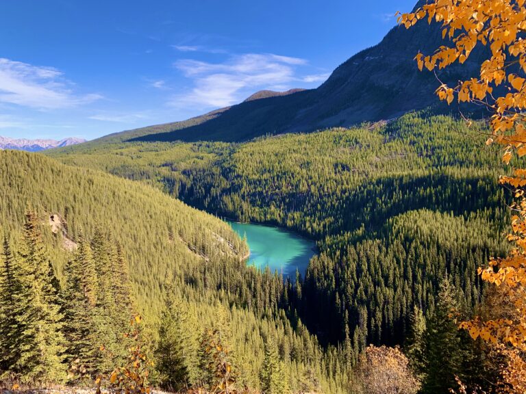 Banff with Kids in the Fall: A Family Trip to the Canadian Rockies