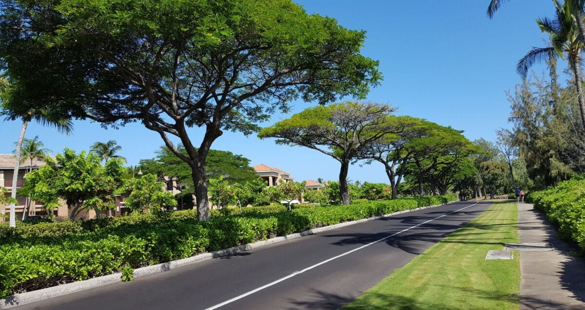 Tree-lined road and sidewalk within the Waikoloa Beach Resort vacation rental community, showing the manicured landscape and walkability between condo complexes.