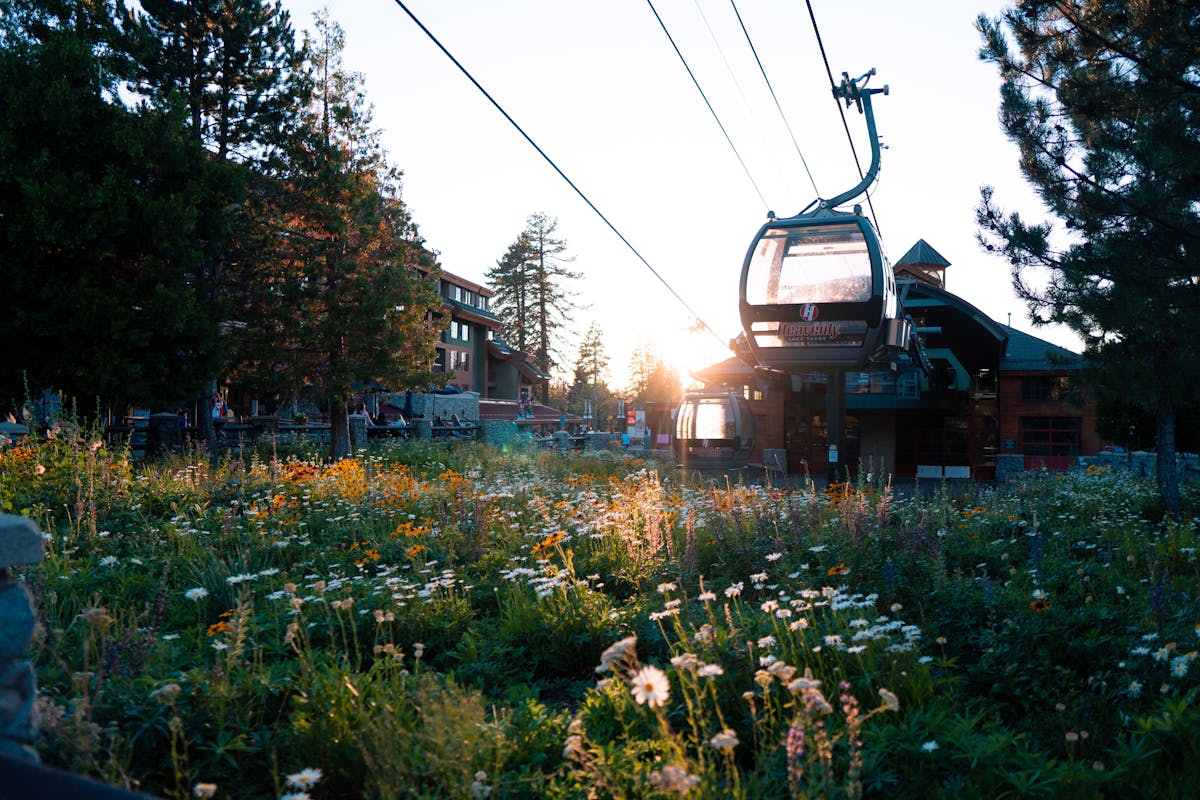 A picturesque gondola lift over a flowering meadow during sunset in Tahoe City, California.