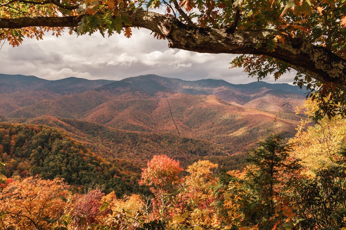 Smoky Mountain Cabins: How to Choose the Right One for Families 3 Captivating view of Smoky Mountains with vibrant fall foliage and dramatic skies.