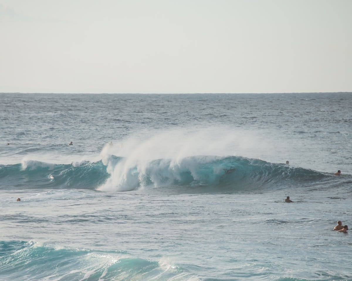 Capture of surfers amidst ocean waves on a sunny Hawaiian beach.