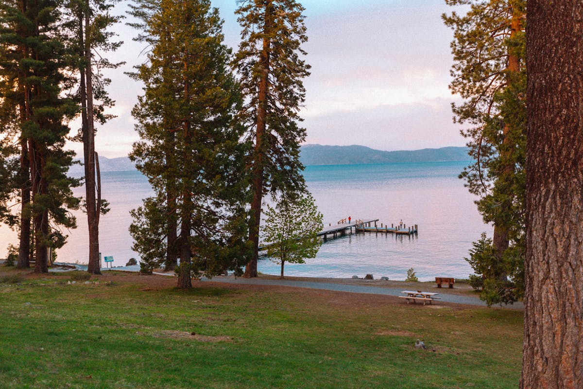 Serene lake scene with a pier framed by tall trees, capturing a tranquil sunset.