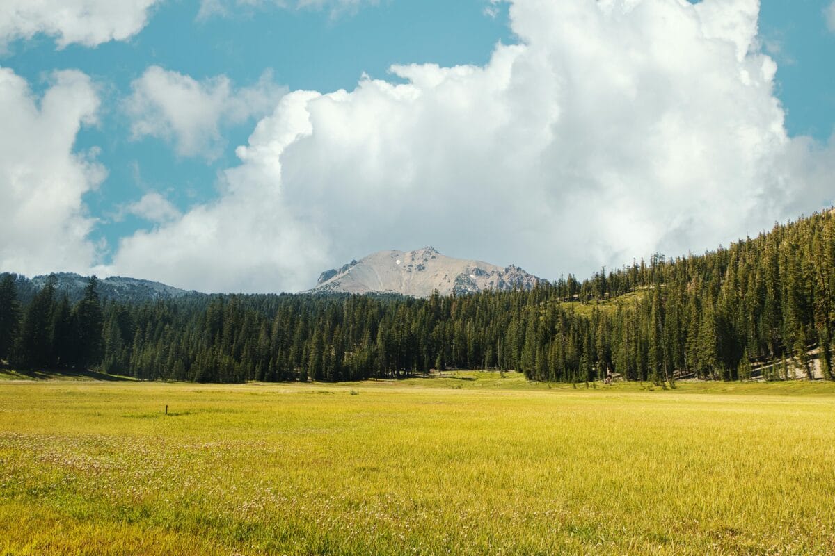 A wide view of the lush green grass and pine trees at Tahoe Meadows along Mount Rose Highway, with a rocky mountain peak under a cloudy sky.