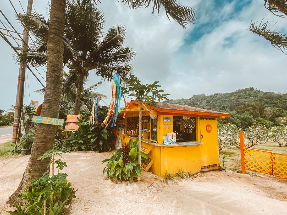 Vibrant beach shack surrounded by palm trees on Oahu's North Shore, Hawaii.