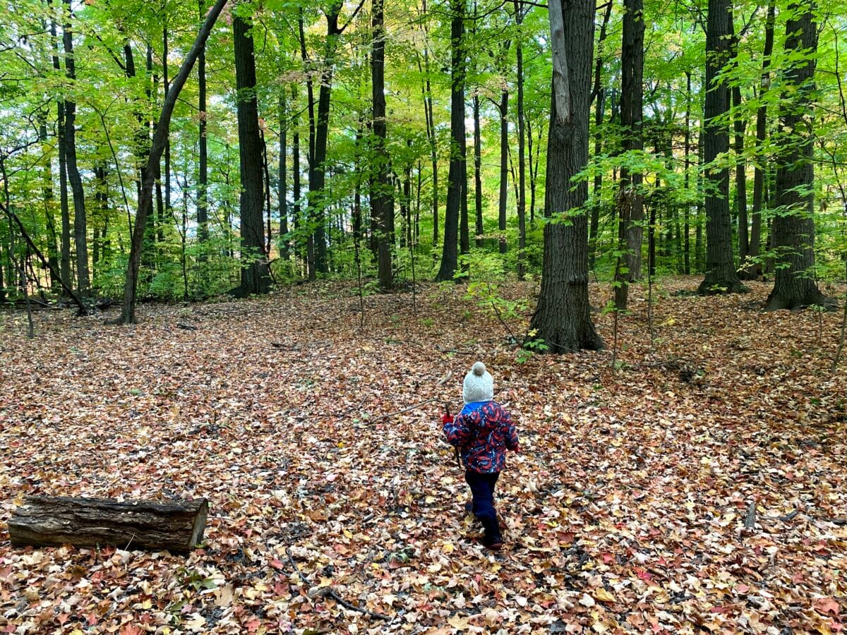 A toddler running through a wooded forest in the fall on a bed of multicolour leaves.