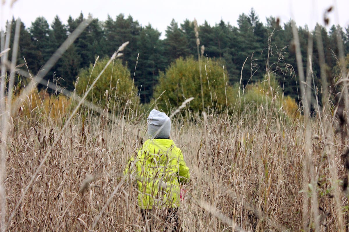 A child with a beanie walks through a tall grassy field during autumn.