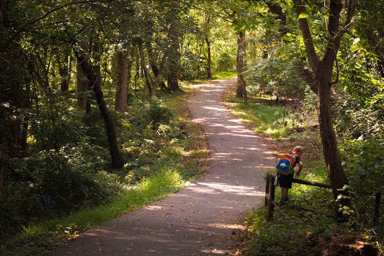 A kid with a colorful backpack explores a wooded trail in Bethesda, Maryland while hiking with kids on a family-friendly forest path.