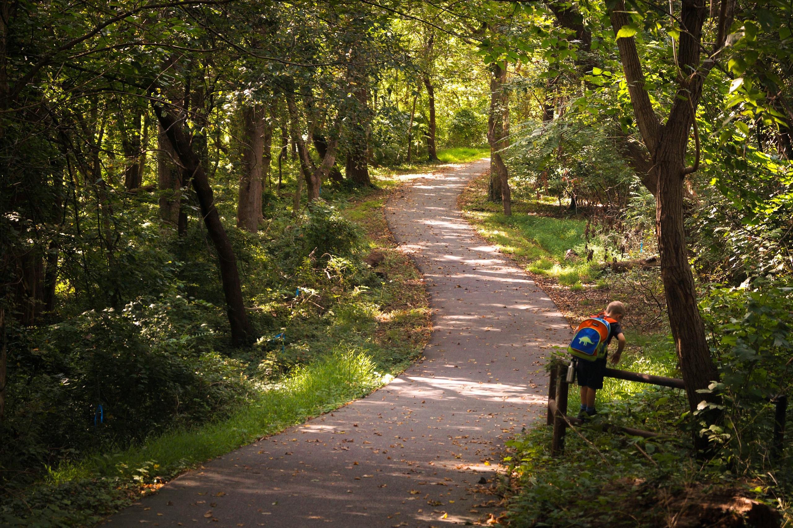 A kid with a colorful backpack explores a wooded trail in Bethesda, Maryland while hiking with kids on a family-friendly forest path.